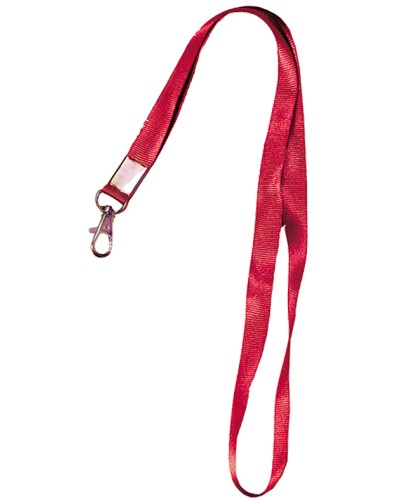 Лента шёлковая с металлическим карабином-защёлкой Tantos TS-STR (red) в Липецке Дополнительное оборудование для СКУД Pintop.ru