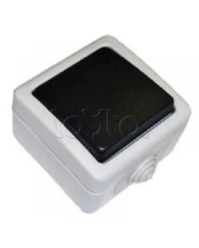 Экопласт EF600SD Выключатель одноклавишый с самовозвратом (кнопка),10A (сер.) в Липецке Розетки компьютерные и телефонные Pintop.ru