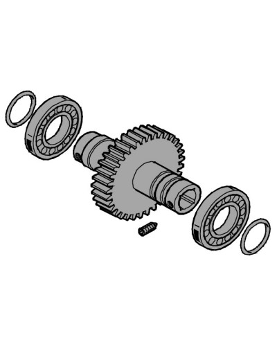 Вал выходной EMEGA Came 119RIE062 в Липецке Запчасти для шлагбаумов и автоматики Pintop.ru
