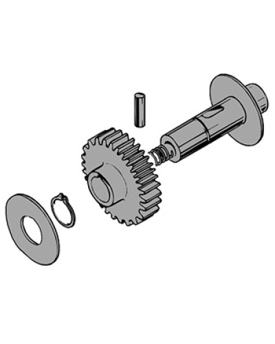 Вал в сборе C100 Came 119RIC011 в Липецке Запчасти для шлагбаумов и автоматики Pintop.ru