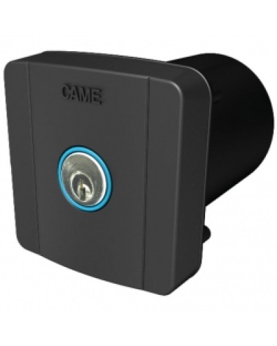 Ключ-выключатель встраиваемый Came 806SL-0020 в Липецке Запчасти для шлагбаумов и автоматики Pintop.ru