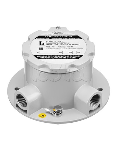 Коробка коммутационная взрывозащищенная Эридан ККВ-07е-Ex-А-Р1-У-БК1 в Липецке Комутационные взрывозащищенные коробки Pintop.ru