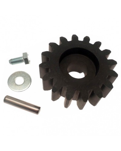 Шестерня ведущая BZ Came 119RIBZ005 в Липецке Запчасти для шлагбаумов и автоматики Pintop.ru