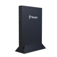 Шлюз Yeastar TA810