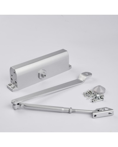 Доводчик R-Lock RL-DCM-EN5-00S в Липецке Доводчики Pintop.ru