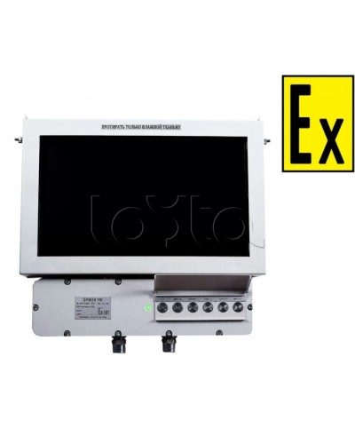 Монитор взрывозащищенный Компания СМД Орион МК М 19-Н в Липецке Дополнительное оборудование (Ex) Pintop.ru