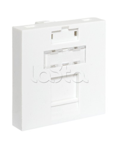 Вставка розеточная TERACOM PRO 45x45мм формат Mosaic на 1 модуль Keystone белая EKF (TRP-INS-MOS-2M1P-WH) в Липецке Розетки компьютерные и телефонные Pintop.ru