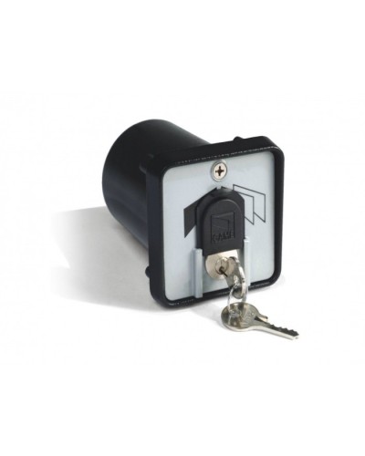 Ключ-выключатель с защитой цилиндра, встраиваемый Came 001SET-K в Липецке Запчасти для шлагбаумов и автоматики Pintop.ru