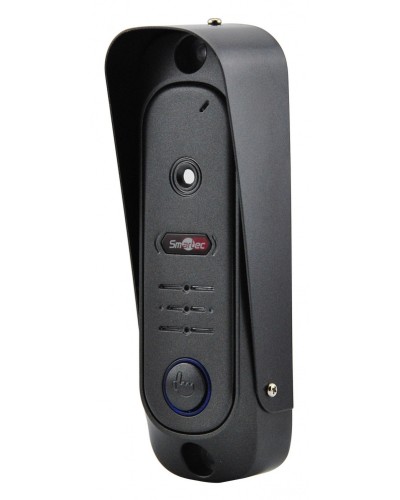 Видеопанель вызывная (черный) Smartec ST-DS206C-BK в Липецке Вызывные видеопанели малоабонентные Pintop.ru