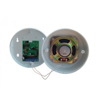 Оповещатель пожарный речевой Магнито-контакт «ЛИГАРД-Раскат»