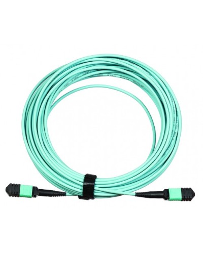 Сборка кабельная LANMASTER (LAN-12M-12M/OM3B-5.0) в Липецке Коннекторы Pintop.ru