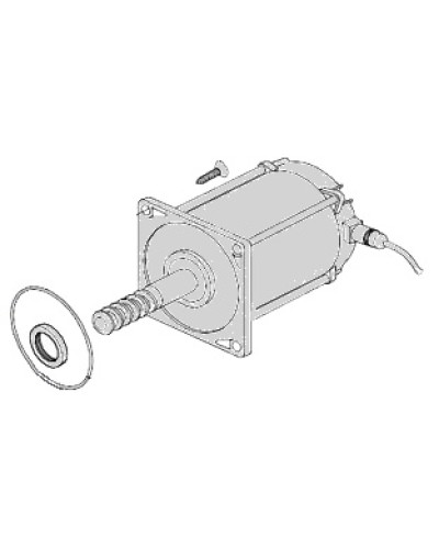 Электродвигатель Came 119RIA025 в Липецке Запчасти для шлагбаумов и автоматики Pintop.ru