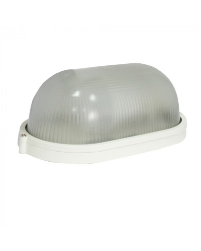 Светильник Бастион Skat LED-220 E27 IP54 в Липецке Светильники Pintop.ru